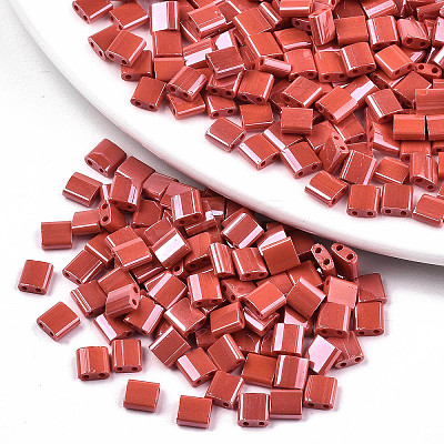FGB 2-Hole Glass Seed Beads X-SEED-S031-L-ST125-1