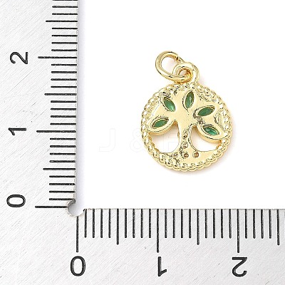 Brass Micro Pave Cubic Zirconia Charms ZIRC-I356-22G-1
