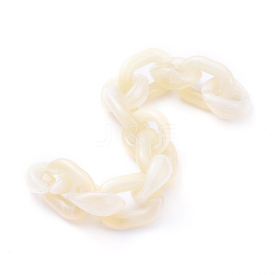 Transparent Acrylic Handmade Cable Chain AJEW-JB00546-01-1