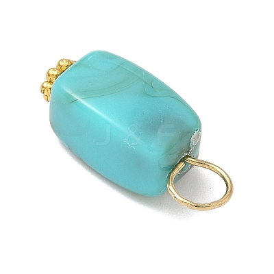 Opaque Acrylic Pendants PALLOY-JF04023-1