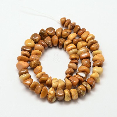 Natural Gemstone Chip Beads Strands G-P091-45-1