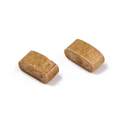 FGB 2-Hole Glass Seed Beads X-SEED-S031-M-SH1004F-1
