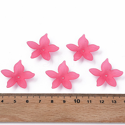 Transparent Acrylic Beads X1-MACR-S373-127-D-1