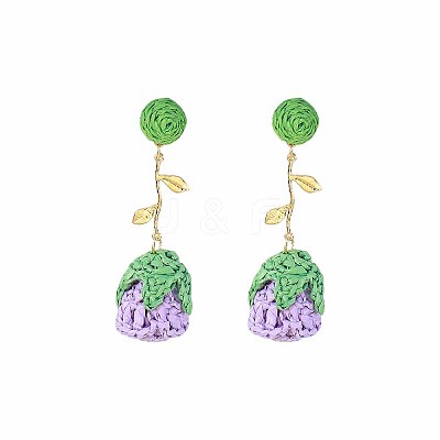Bohemia Raffia & Alloy Stud Dangle Earrings WG3AA71-04-1