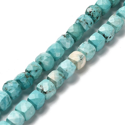 Dyed Natural Howlite Beads Strands G-H078-C28-01-1