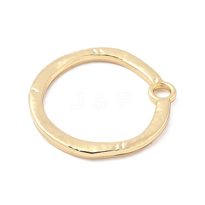 Alloy Pendants PALLOY-F316-01B-G-1