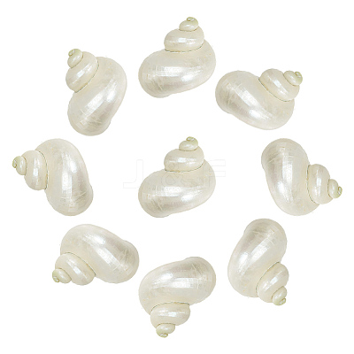 10Pcs Mini Natural Spiral Shell Beads FIND-WR0012-36-1