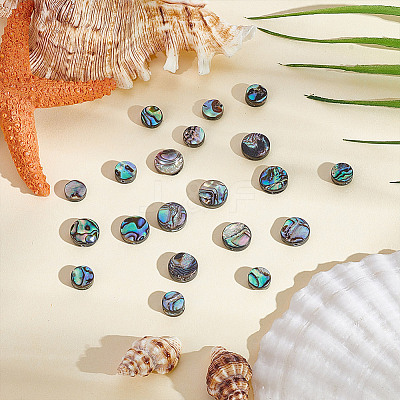 20Pcs 2 Styles Natural Abalone Shell/Paua Shell Beads Strands SSHEL-HY0001-10-1