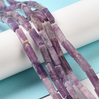 Natural Lepidolite/Purple Mica Stone Beads Strands G-E612-C05-B-1