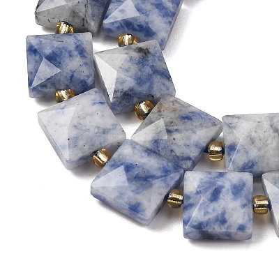 Natural Blue Spot Jasper Beads Strands G-F839-A15-01-1