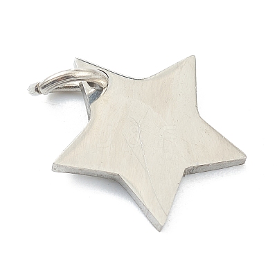 Tarnish Resistant (Defective Closeout Sale: Scratches)304 Stainless Steel Charms STAS-XCP0001-34-1