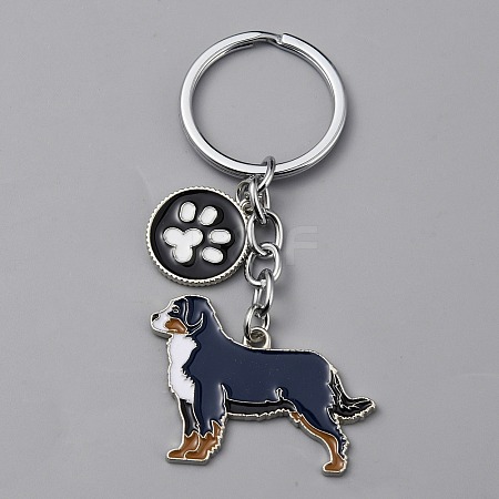 Alloy Keychain KEYC-SZC0006-01B-1
