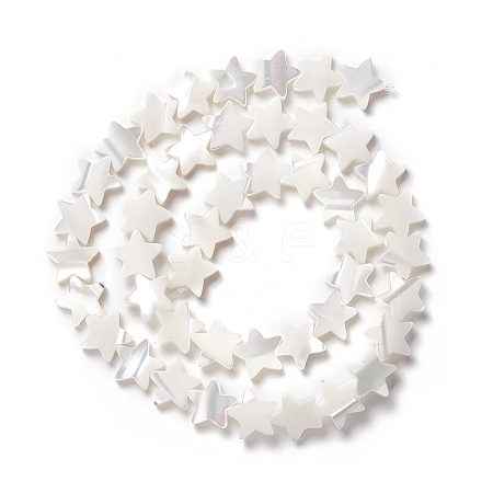 Natural Trochid Shell/Trochus Shell Beads SSHEL-O001-25C-02-1