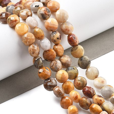 Natural Crazy Agate Beads Strands G-C179-A22-02-1