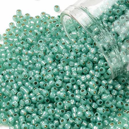 TOHO 11/0 Round Beads X-SEED-TR11-PF2119-1