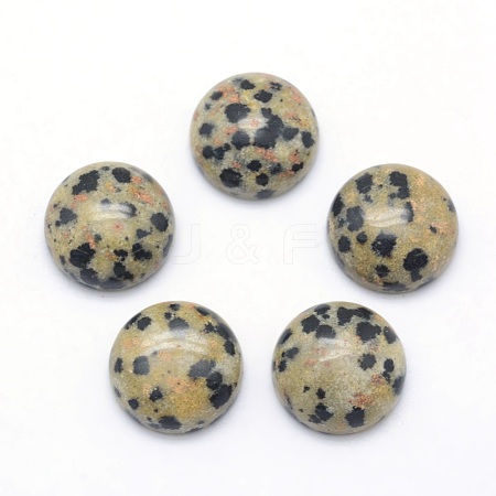 Natural Dalmatian Jasper Cabochons G-P393-R33-10MM-1