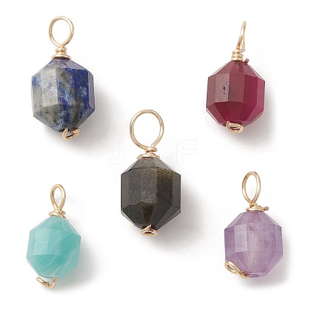 Natural Mixed Gemstone Copper Wire Wrapped Charms PALLOY-JF02173-1