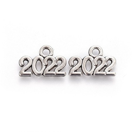 Tibetan Style Zinc Alloy Charms PALLOY-I141-30AS-C-1
