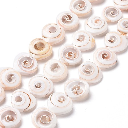 Natural Spiral Shell Beads Strands SSHEL-G023-06-1