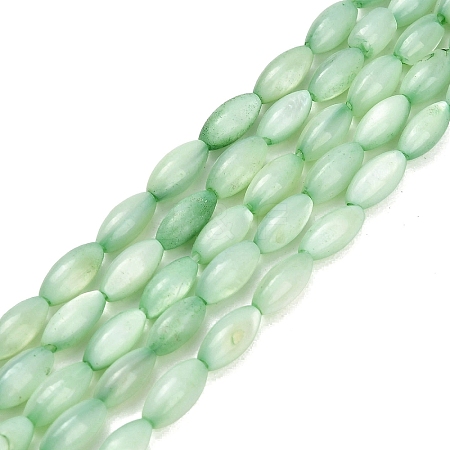 Natural Freshwater Shell Beads Strands SHEL-C010-01A-1