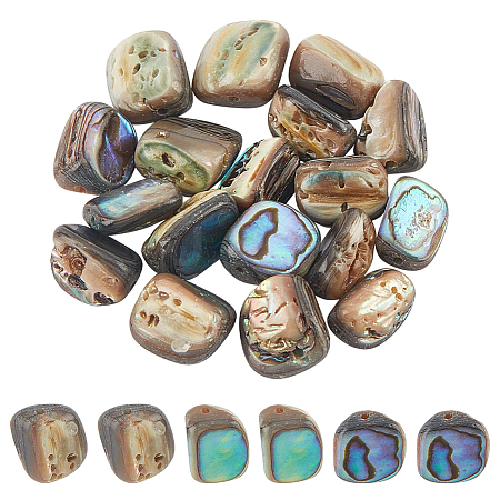 BENECREAT 18Pcs Natural Abalone Shell/Paua Shell Beads SSHEL-BC0001-27-1