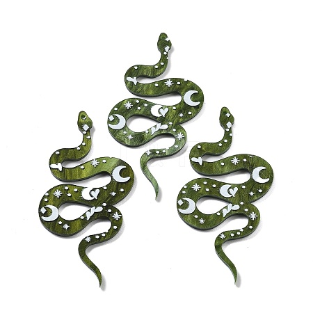 Western Style Acrylic Big Pendants LS-OACR-I002-01-1