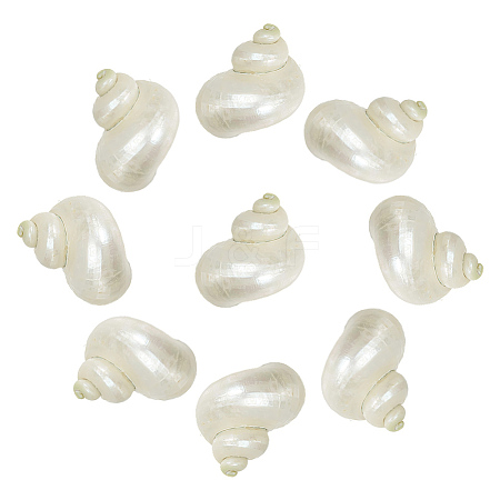 10Pcs Mini Natural Spiral Shell Beads FIND-WR0012-36-1