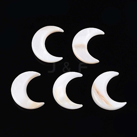 Natural Freshwater Shell Cabochons SHEL-S267-04B-1