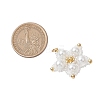 Glass Seed Beaded Star Pendants PALLOY-MZ00524-02-2