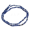 Natural Blue Aventurine Beads Strands G-Z116-A25-2mm-3