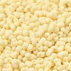 Glass Frosted Seed Beads SEED-K009-05B-08-3