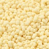 Glass Frosted Seed Beads SEED-K009-05B-08-3