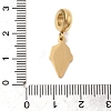 304 Stainless Steel Enamel European Dangle Charms STAS-D153-05C-G-3