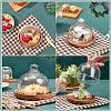 Clear Glass Dessert/Cake Cloche Dome Display Cases ODIS-WH0029-30-6