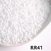 Opaque 8/0 Glass Seed Beads SEED-I013-3mm-RR41-1