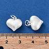 925 Sterling Silver Pendants STER-A043-03B-S-3