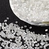 11/0 Two Cut Glass Seed Beads X-CSDB101-1