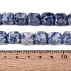 Natural Blue Spot Jasper Beads Strands G-Q608-10G-5