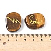 16Pcs 16 Styles Natural Tiger Eye Display Decorations G-F786-02A-06-3