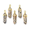 Natural Dalmatian Jasper Pointed Pendants LS-G-G025-01G-33-1