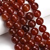 Natural Carnelian Beads Strands GG-CBA1CAF-A01-14mm-1