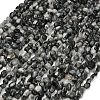 Natural Eagle Eye Stone Beads Strands G-D108-A02-04-2