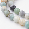 Natural Flower Amazonite Bead Strands G-G735-61-8mm-3