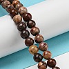 Natural Gemstone Beads Strands G-R494-A22-02-4