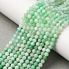 Natural Chrysoprase Beads Strands G-C196-A02-3mm-1