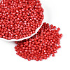 Baking Paint Pearlized Glass Seed Beads SEED-T007-21A-08-3