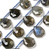 Natural Labradorite Beads Strands G-P544-C03-01-1