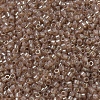 MIYUKI Delica Beads X-SEED-J020-DB0102-3