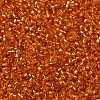 Cylinder Seed Beads X-SEED-H001-G10-4