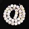 Natural Fire Crackle Agate Beads Strands G-Q606-94A-3